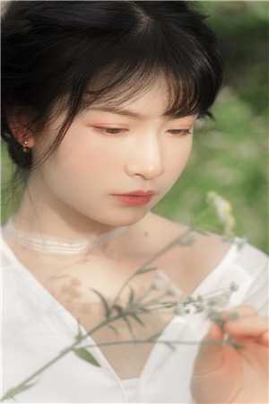 神医毒妃只想和离慕容朱雀君北誉