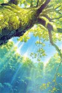 烟花下的约定王沐叶思黎