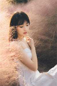 神婿：我出生被视为不详阅读