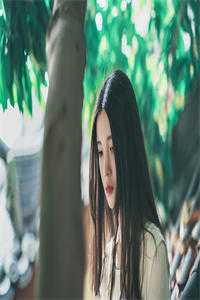 农家子的科举之路全文章节