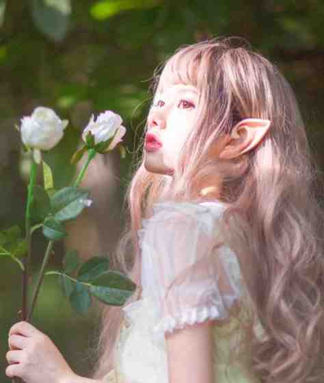 系统：我撒狗粮就变强