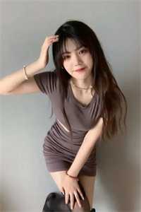 玫瑰不再温柔人气小说