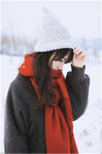 春风十里，踏雪归春章节