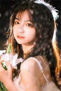 爱如落叶沈倾颜周乘风全文免费