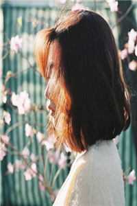 成为恋综女嘉宾后，我爆红了小说