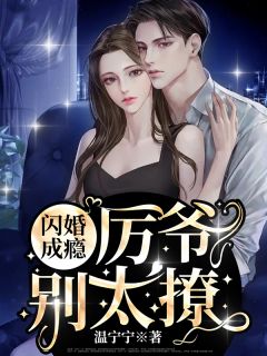 盛夏不再宁静完结+番外