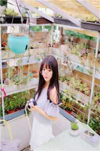 盛夏不再宁静高口碑