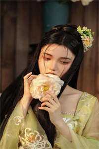 穿越：仙界第一炼丹师横行税务局全文+番茄