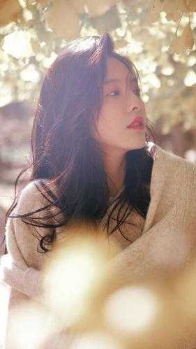 愿我如星君如月林承安谢竹结局+番外