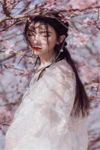 盛夏不再宁静无弹窗