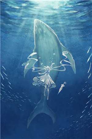 一枕槐安空如夏全文方淮初夏宁