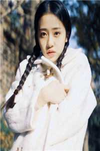 薄爷，夫人出价一千亿要退婚完结