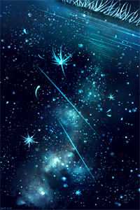 星夜永灿时臻柳晴