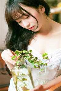 二婚玫瑰完结