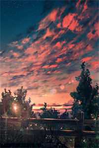 完结版小说月夕芳华顾霄平阳