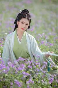 我服婚役后，帝君他四海八荒抢新娘！爆火全网