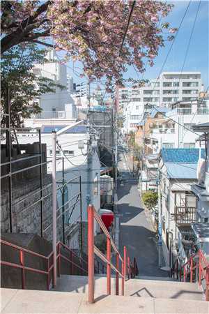 顶尖杀手穿越，横压诸天万界叶离天姜灵小说完结版