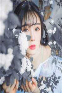穿越四合院，我一夜得仨娃李向前许相容最新章节免费阅读