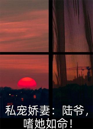 陆绵绵顾言辞等闲一场梦难留小说全文免费阅读