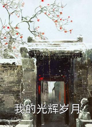 官途：从基层科长到权力巅峰异常火爆