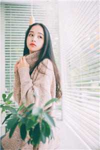 五年深情，终是错付小说萧珏顾卿芸完结版