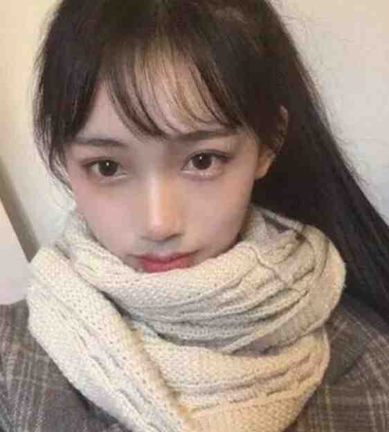 穿越后，我在全班面前向警花表白后续+番外