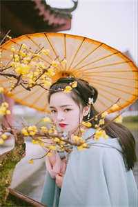 安陵容重生后：她比甄嬛更像纯元:(番外)+(全文)
