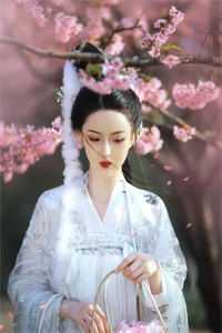 我死后，老婆想取我的血:结局+番外