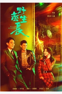 大小姐，今生请别再靠近我畅读