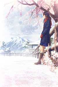 我死后，前夫追妻火葬场了许清浅傅斯年无删减全文