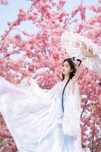 雨后新枝全文免费阅读