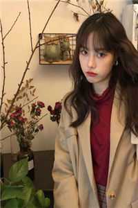 被退婚后嫁清俊屠夫，领全家致富:番外+无删减版