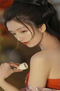 奉旨为妃:结局+番外