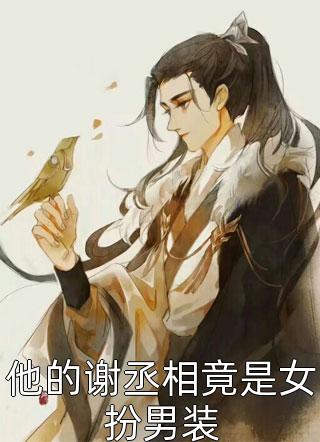 官场弃婿，被渣后走上仕途巅峰全文+番外