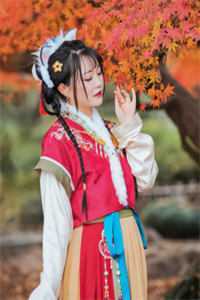 春风言相守，落花言别离李如风清灵:结局+番外