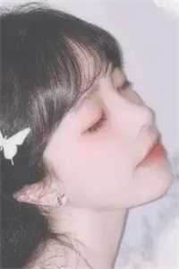 曾拥清风见明月的小说