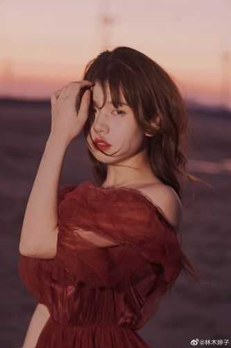 野猫穿成病娇女主，打脸前主人夏晚马仕完结文