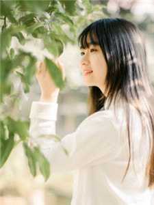 暴君小萌包，萌宠崽崽要抱抱番外