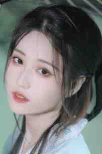 奈何惊鸿入我心前言+后续
