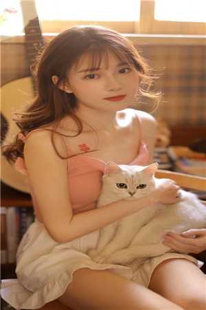 宏图美人志小说