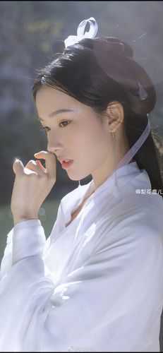爱恨皆逝，悲欢不抵流年长:结局+番外+完结