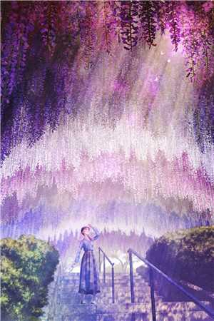 月光似雾消散周画棉京圈佛子:番外+无删减版