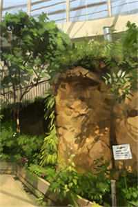 诡画皮后续+番外