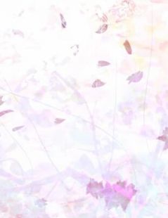 残阳落幕，爱恨沉海热门