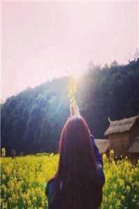 神医弃女叶凌月凤莘