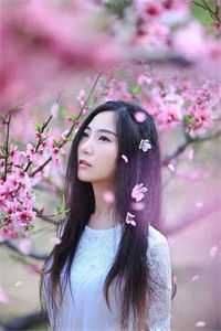 花开花落花归尘全本+番外+后续