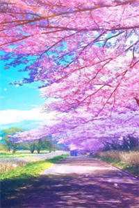 盛夏不再宁静小说畅读