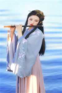 沧海月明鲛有泪小说