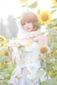 星辰终落幕高口碑