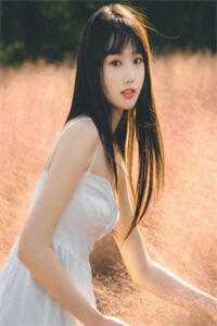 踏入豪门圈复仇，剧情却变甜宠？傅司砚王芸番外+无删减版